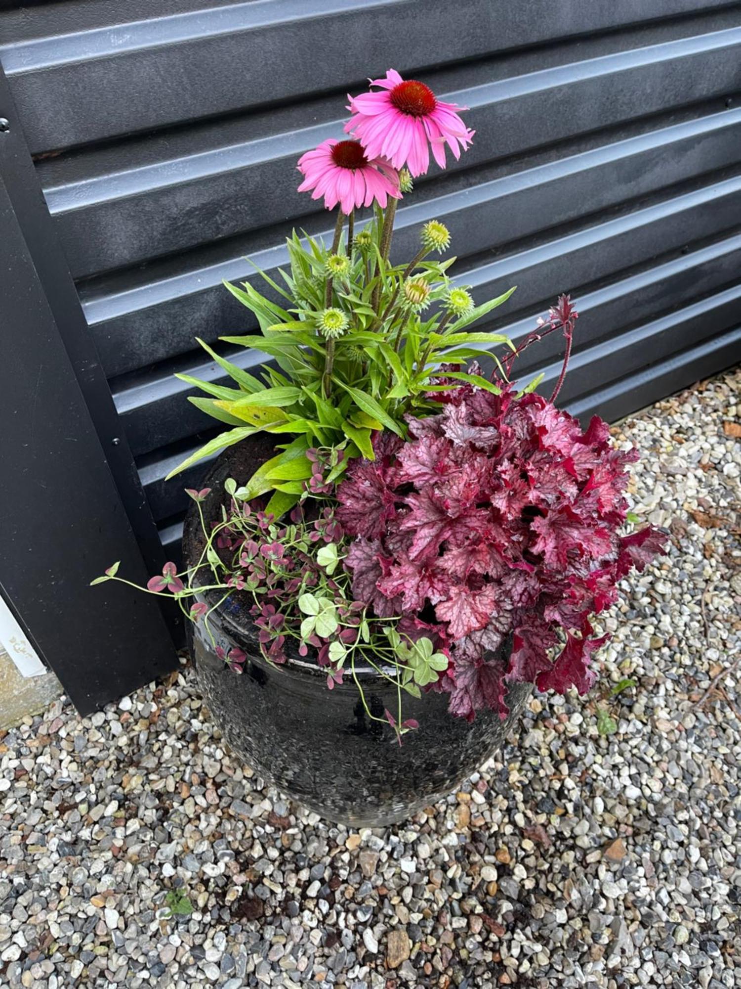 B&B Saga Herning Exteriör bild